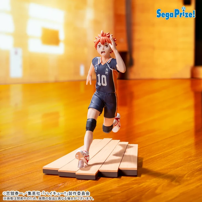 Shoyo Hinata | High Premium